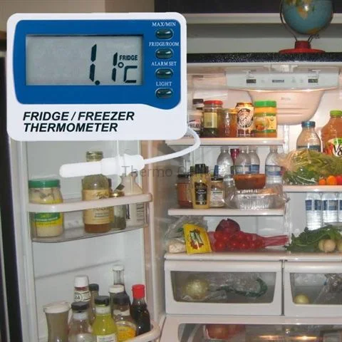 FT3a.jpg